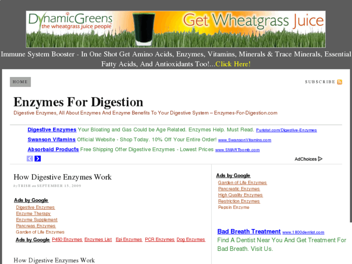 www.enzymes-for-digestion.com