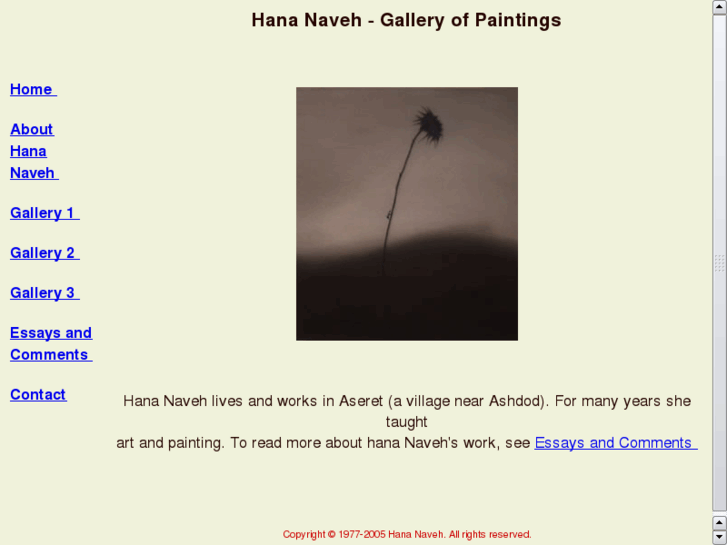 www.hana-naveh.com