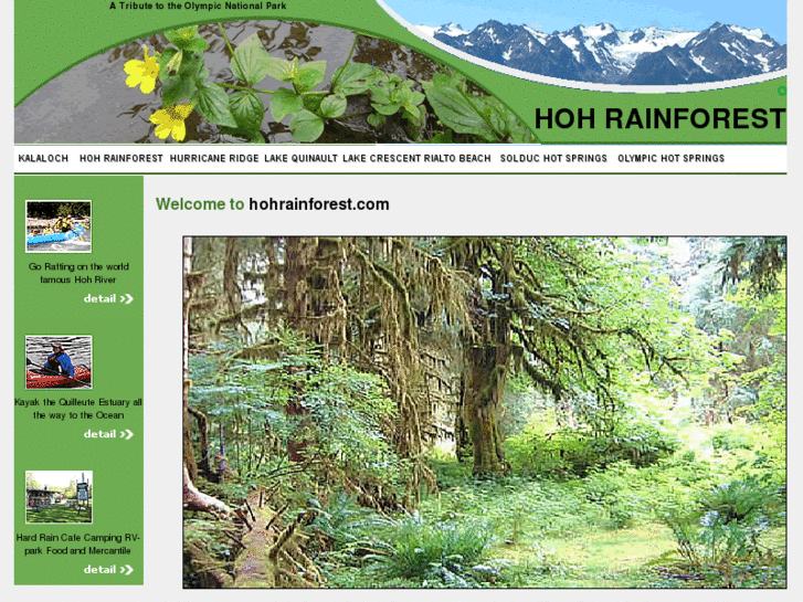 www.hohrainforest.com