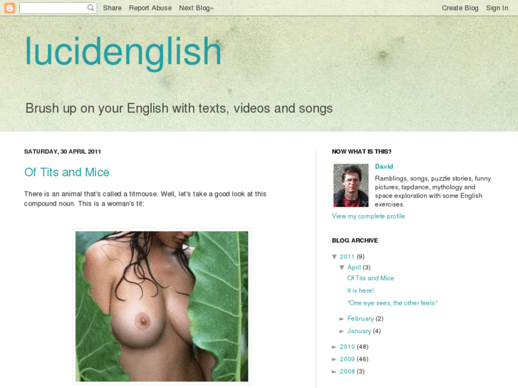 www.lucidenglish.com