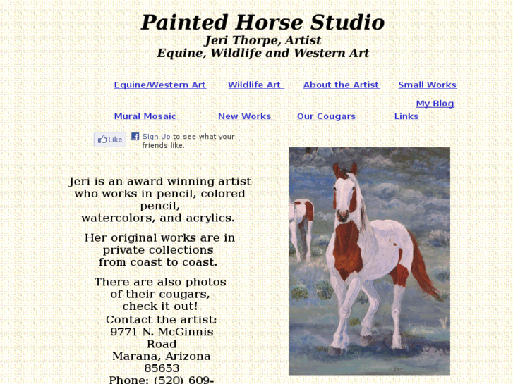 www.paintedhorsestudio.com