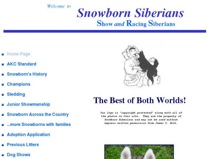 www.snowbornsiberian.com