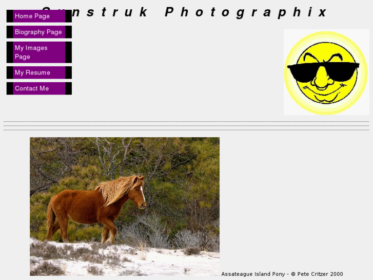 www.sunstrukphotographix.com