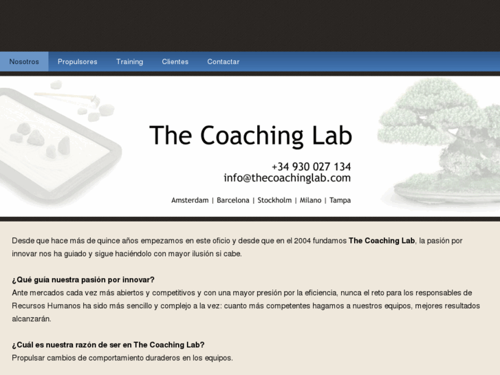 www.thecoachinglab.com