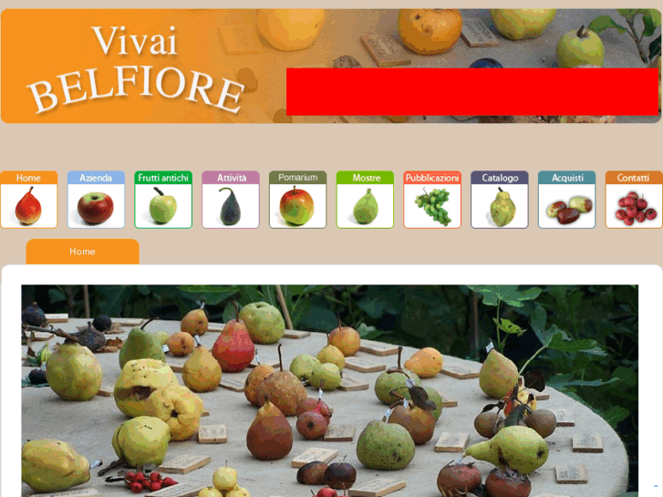 www.vivaibelfiore.com