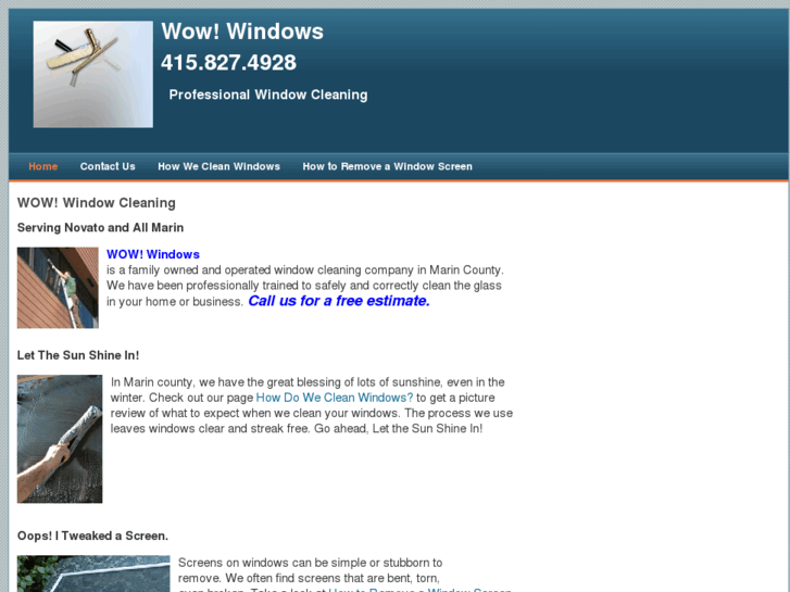 www.wowwindowcleaner.com