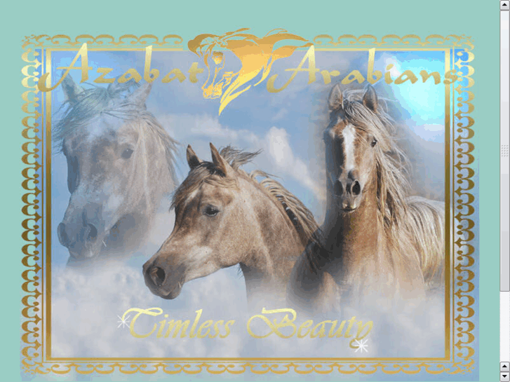 www.azabat-arabians.com