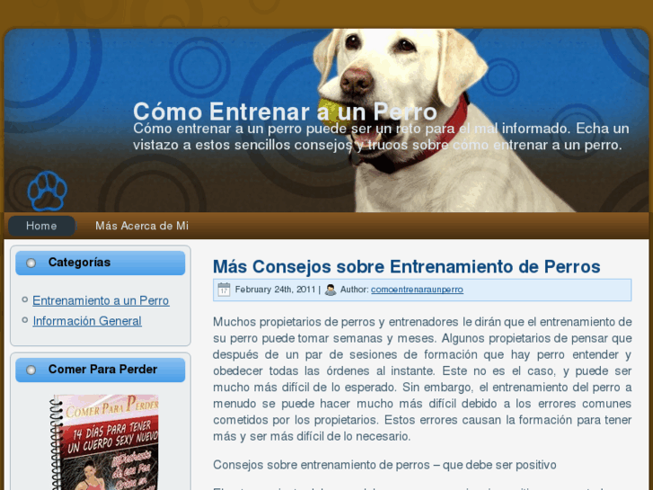 www.comoentrenaraunperro.net