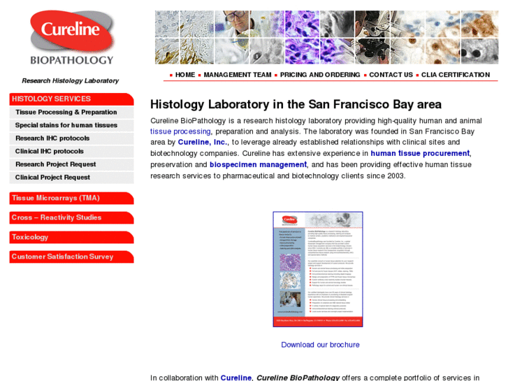 www.curelinebiopathology.com