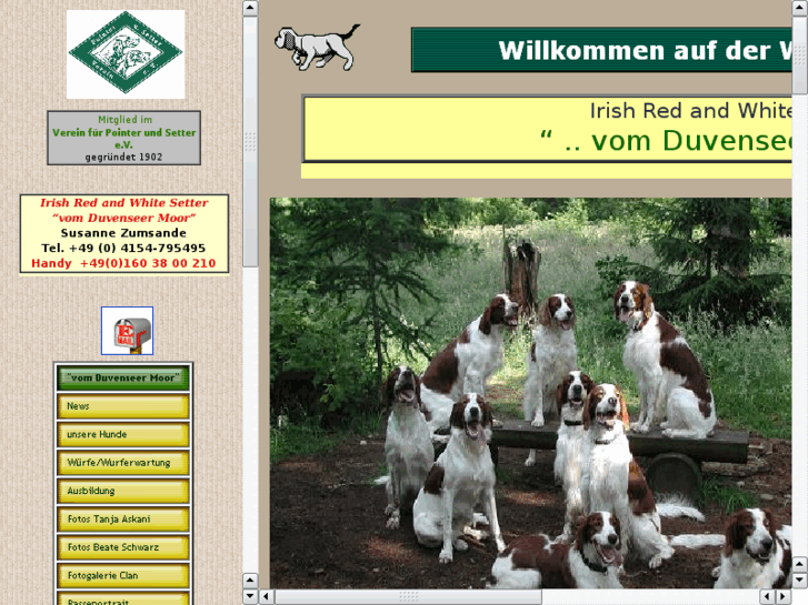 www.irishredandwhitesetter.info