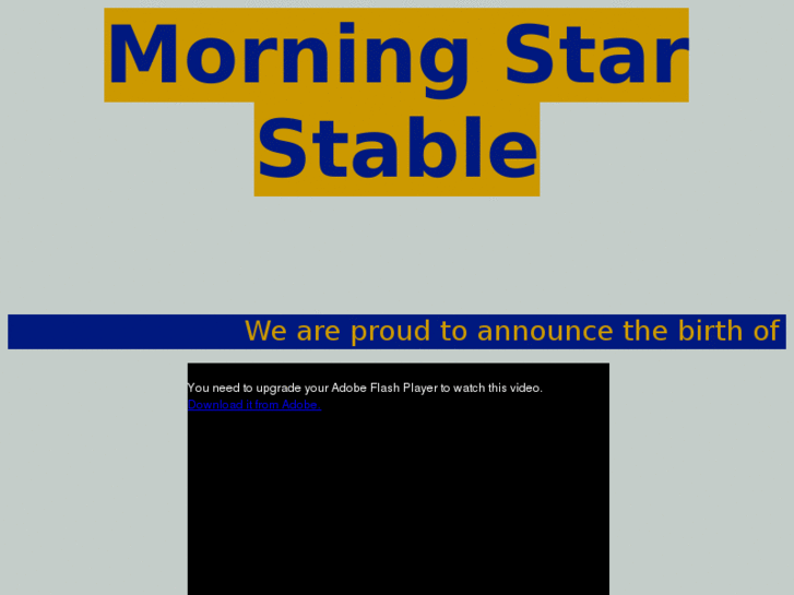 www.morningstarstable.com