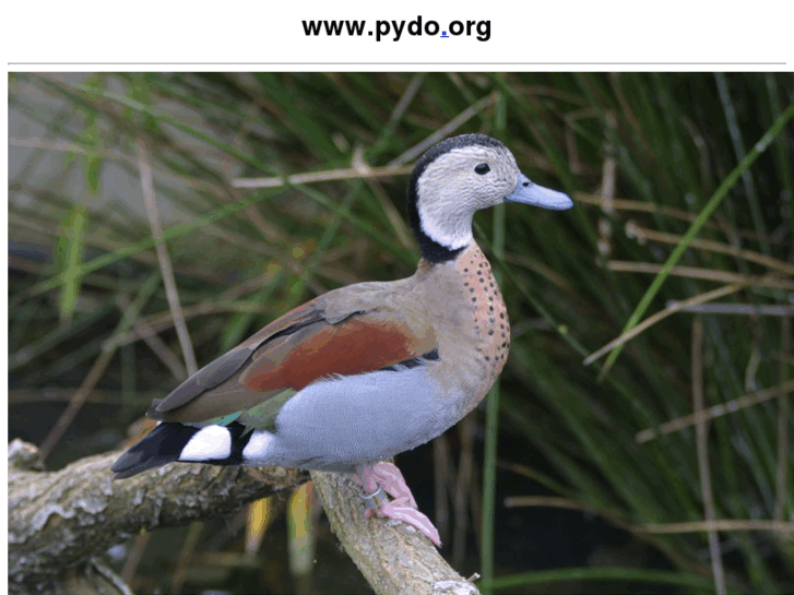 www.pydo.net