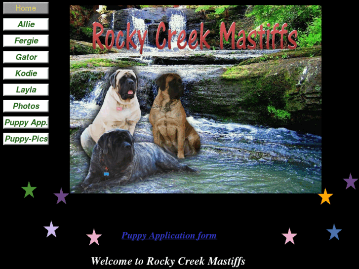 www.rockycreekmastiffs.com