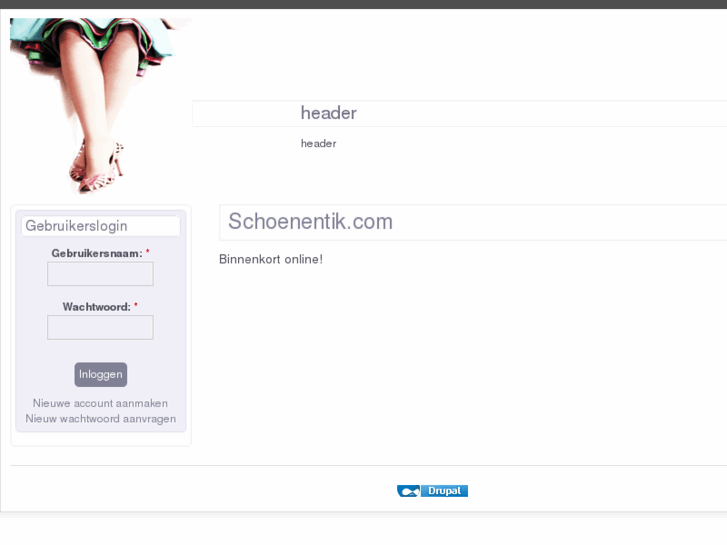 www.schoenentik.com