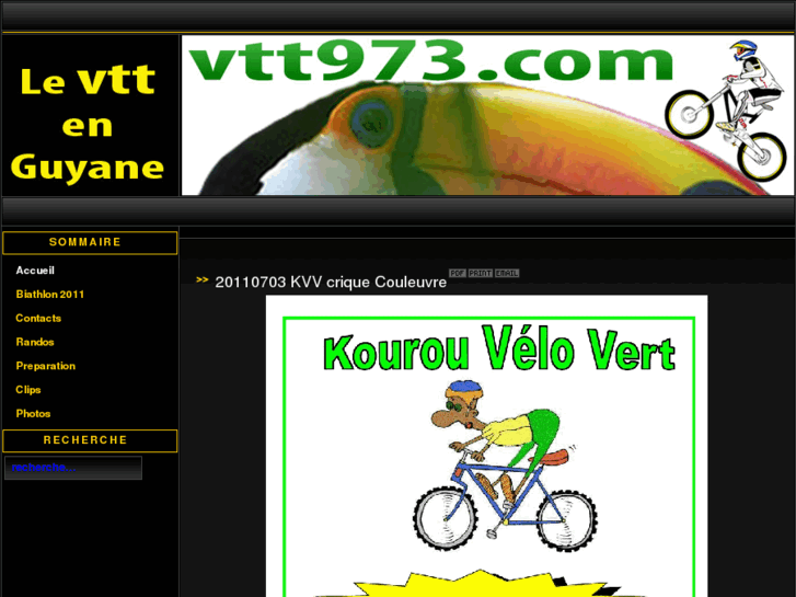 www.vtt973.com