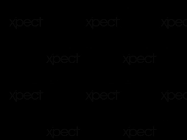 www.xpectstudio.com