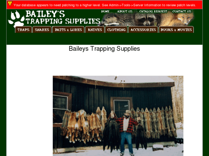 www.baileystrapsupply.com