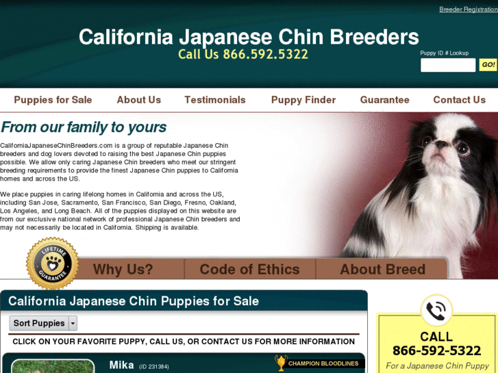 www.californiajapanesechinbreeders.com