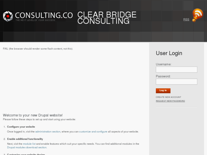 www.clear-bridge-consulting.net