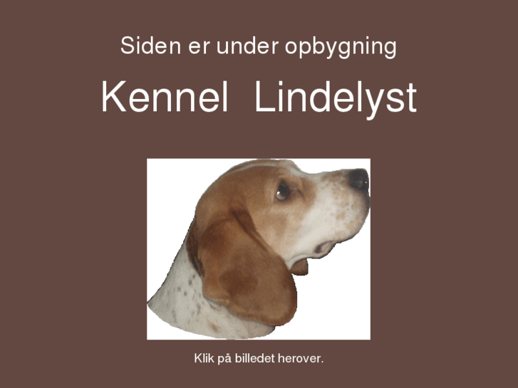 www.lindelyst.com