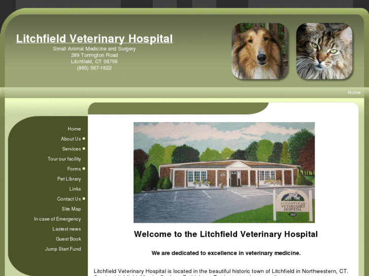 www.litchfieldvet.com