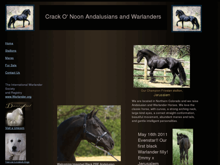 www.warlander-horses.com