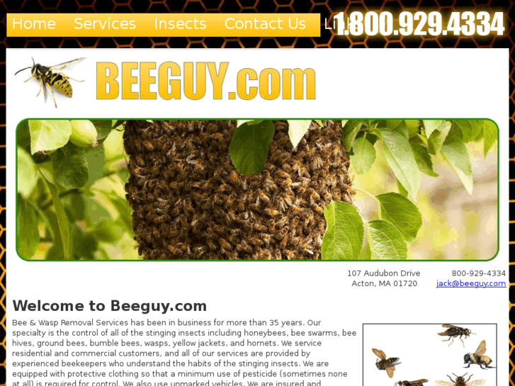 www.beeguy.com