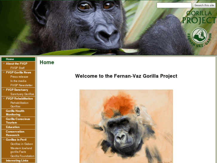 www.gorillas-gabon.com