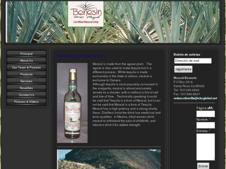 www.mezcalbenesin.com