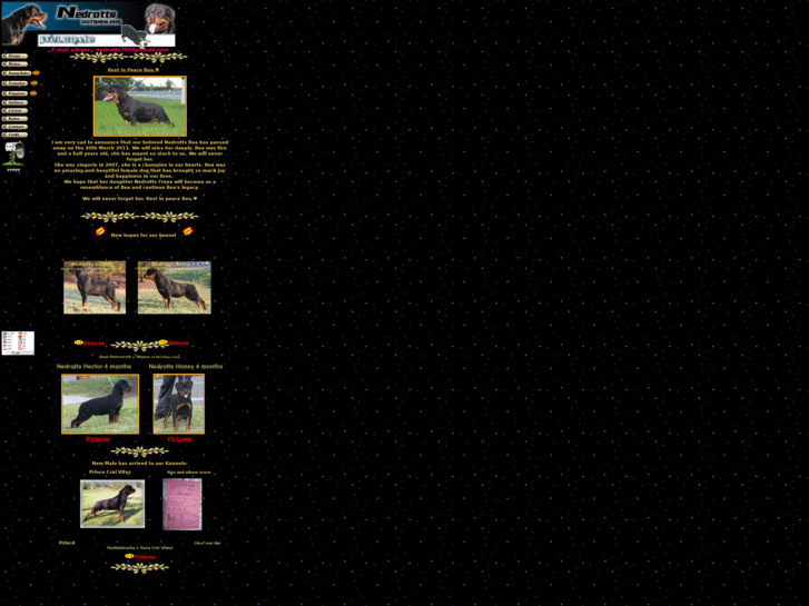 www.nedrotts.com
