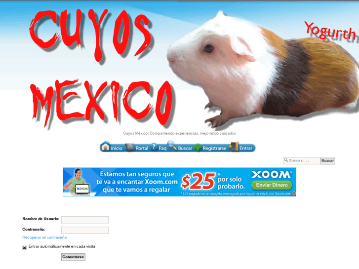 www.cuyosmexico.com