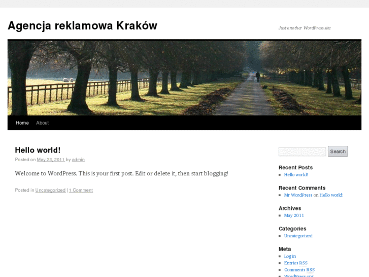 www.agencja-reklamowa-krakow.pl