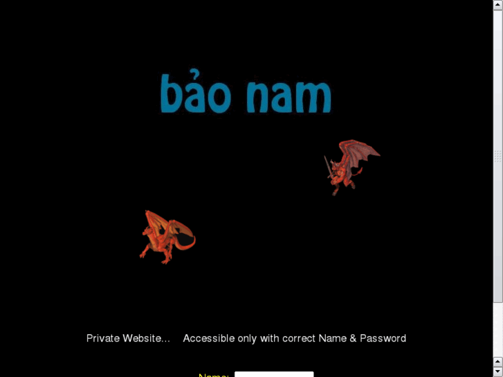 www.baonam.com