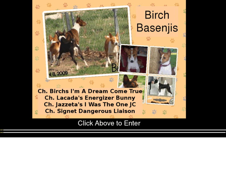 www.birchbasenjis.com