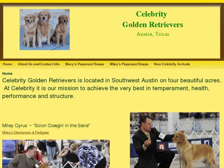 www.celebritygoldens.com