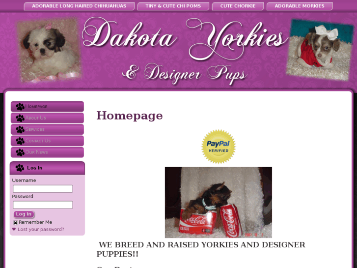 www.dakotayorkies.net