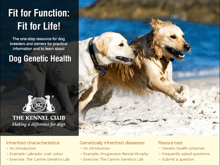 www.doggenetichealth.org