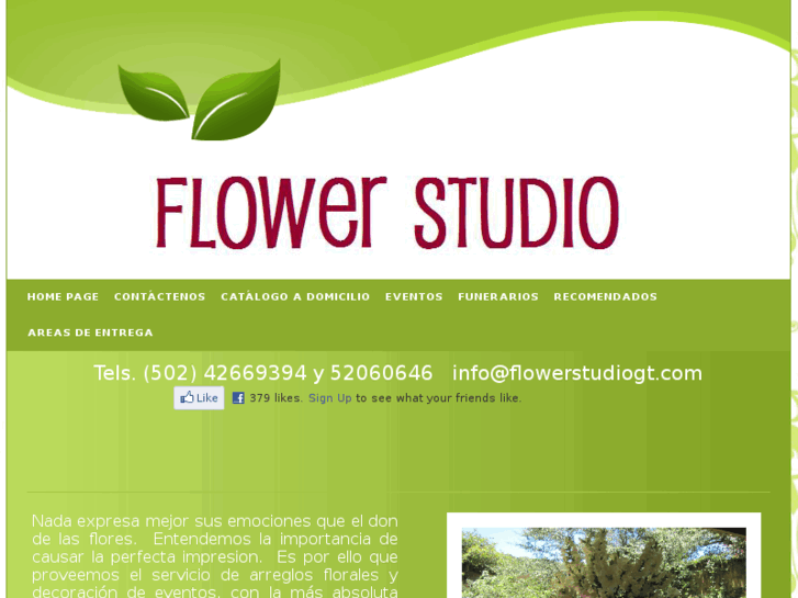 www.flowerstudiogt.com