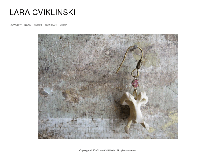 www.laracviklinski.com