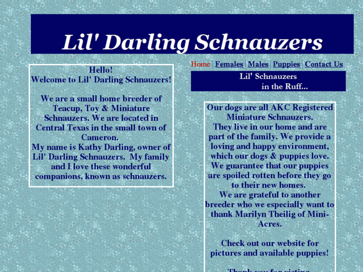 www.lildarlingschnauzers.com