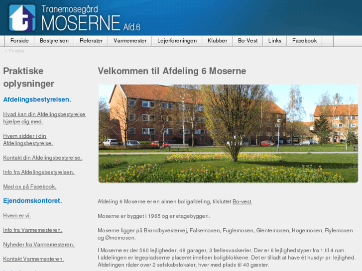 www.moserne.com