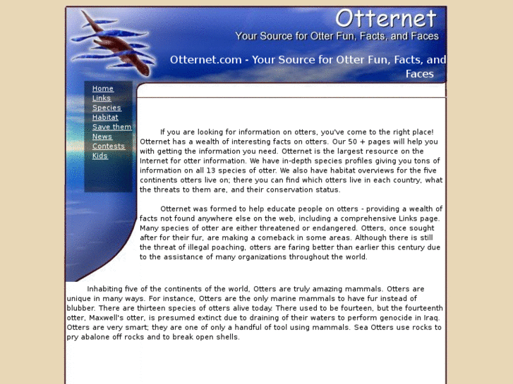 www.otternet.com