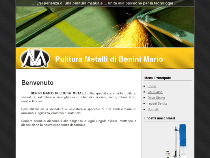 www.puliturabenini.com