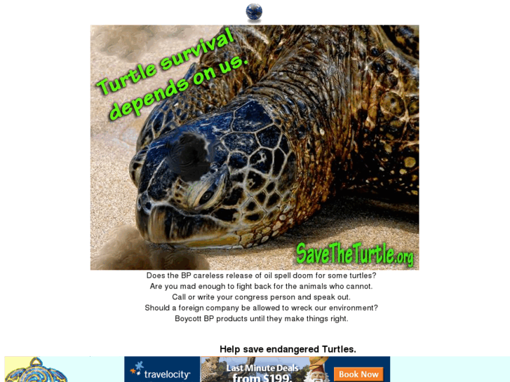 www.savetheturtle.com