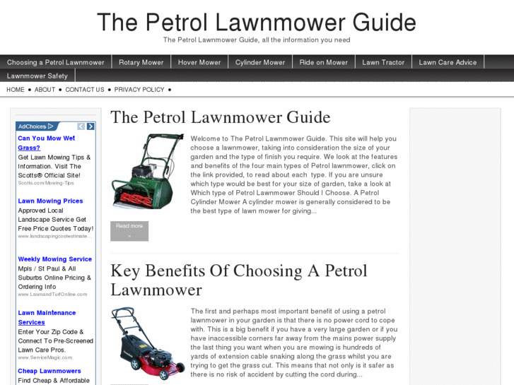 www.thepetrollawnmowerguide.com