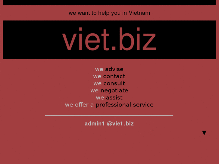www.viet.biz
