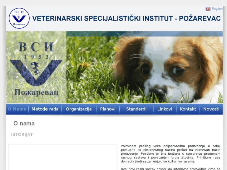 www.vsipozarevac.com