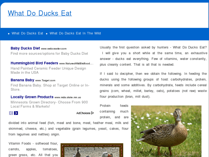 www.whatdoduckseat.com