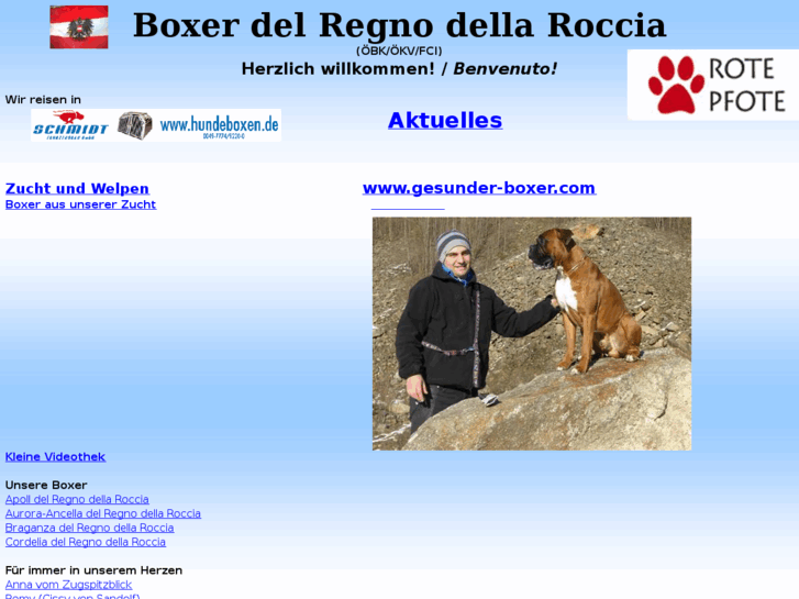 www.boxer-delregnodellaroccia.at