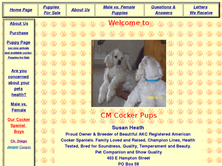 www.cmcockerpups.com